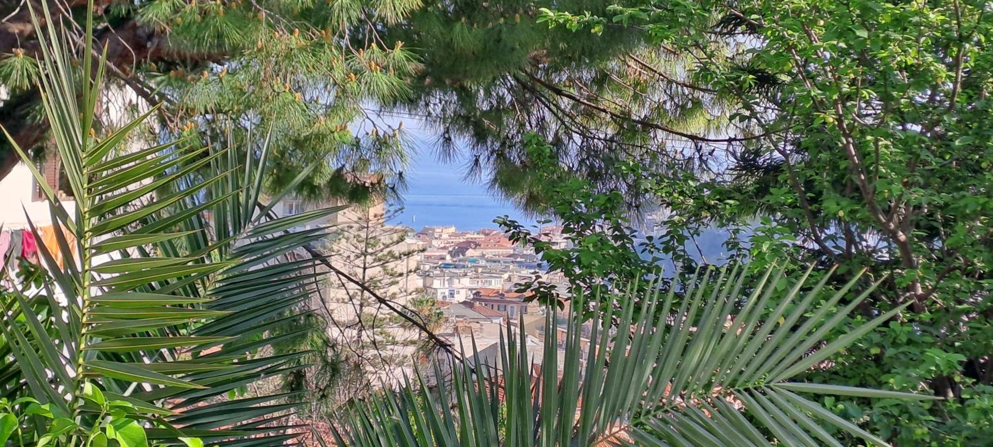 Villetta Fioregreco Sanremo Exterior foto